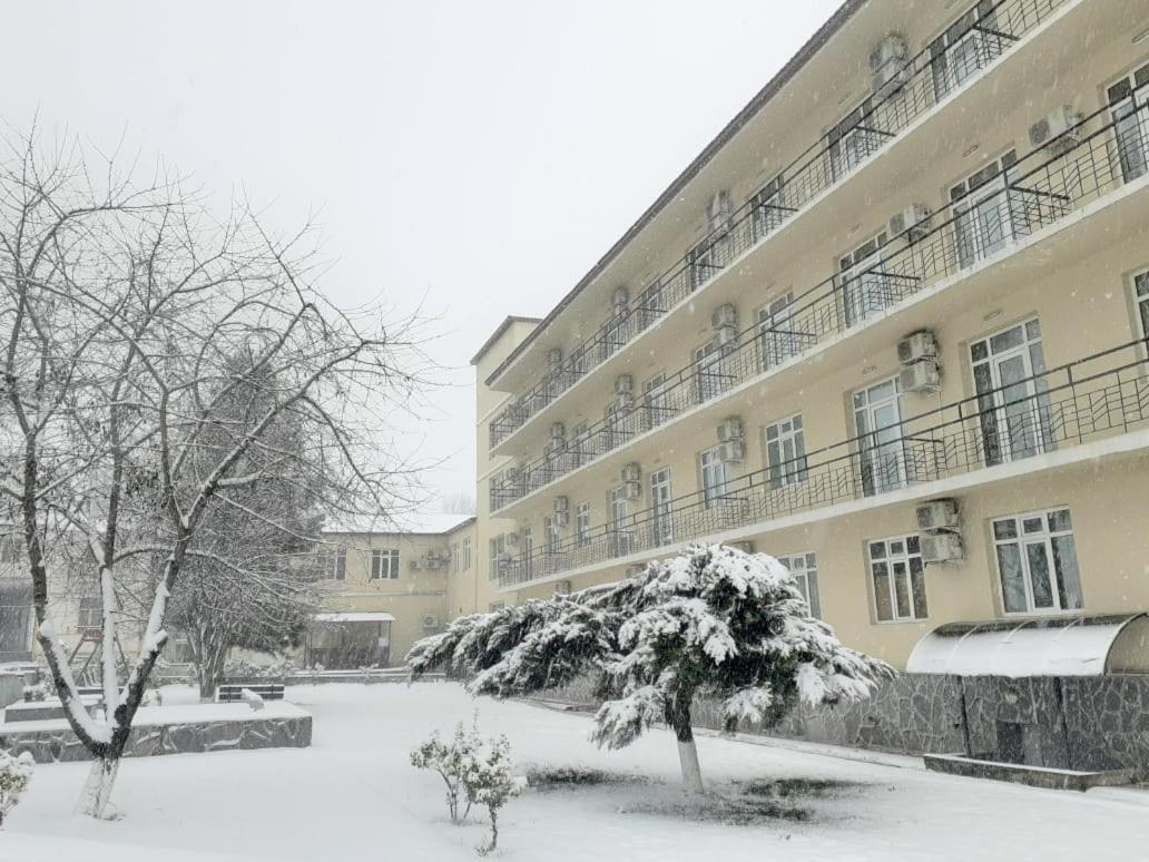 Gabala Hotel Dasca Εξωτερικό φωτογραφία